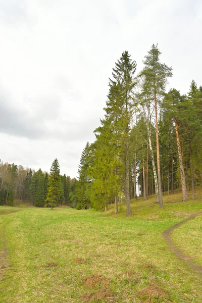 Park na jaro. — Stock fotografie