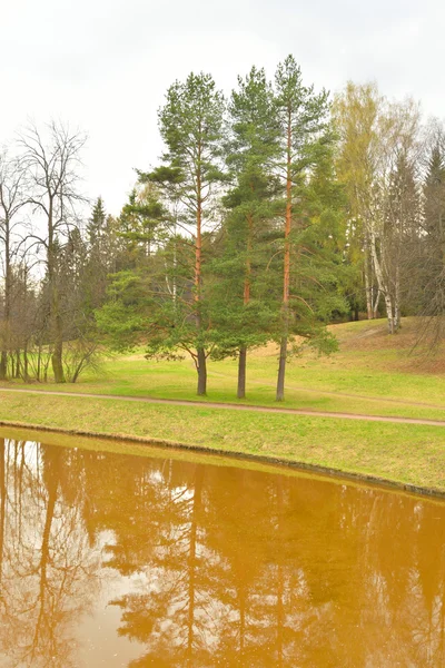 Fluss Slawianka im Frühling. — Stockfoto
