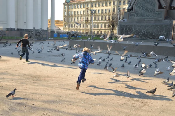 Children chase pigeons. — Stock Photo, Image