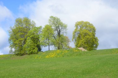 Lappeenranta Kalesi'nin Park peyzaj,