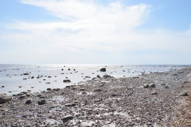 Baltık Denizi Kıyısı. 