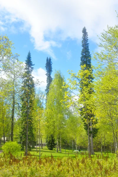 Paysage dans le parc Pusupuisto de Lappeenranta . — Photo