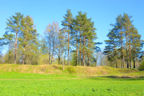 Park på våren. — Stockfoto