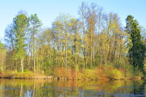 Park på våren. — Stockfoto