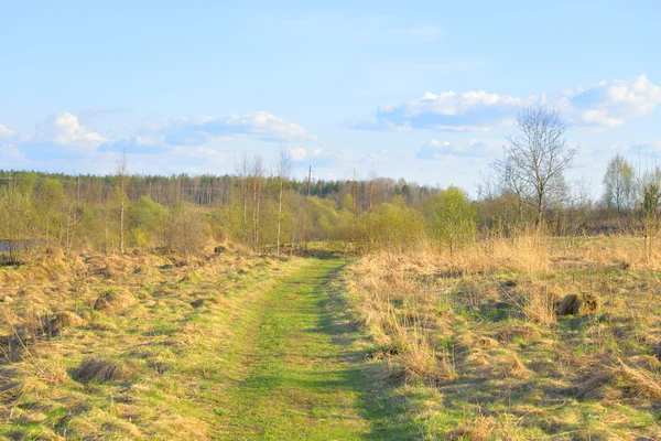Peisaj de primăvară cu drum rural . — Fotografie, imagine de stoc