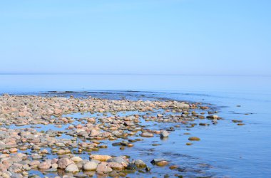 Ladoga Gölü sabah.