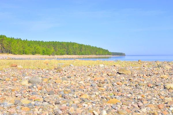 Reggel a Ladoga-tó strand. — Stock Fotó
