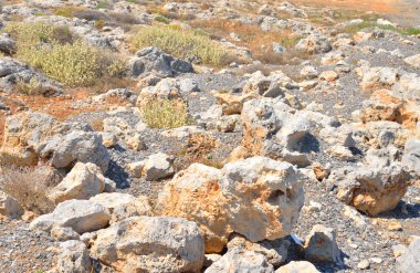 Kalker taş yakın çekim.