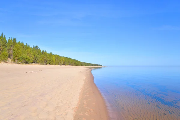 Plage sur le lac Ladoga le matin . — Photo