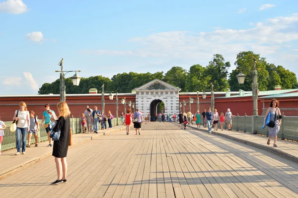 Ioannovsky Bridge in St.Petersburg. — Stock Photo, Image
