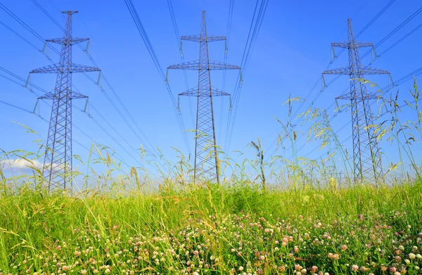 田舎で電力線. — ストック写真