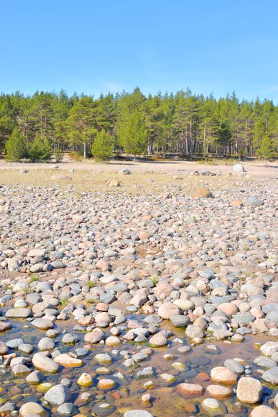 Playa en el lago Ladoga por la mañana . —  Fotos de Stock