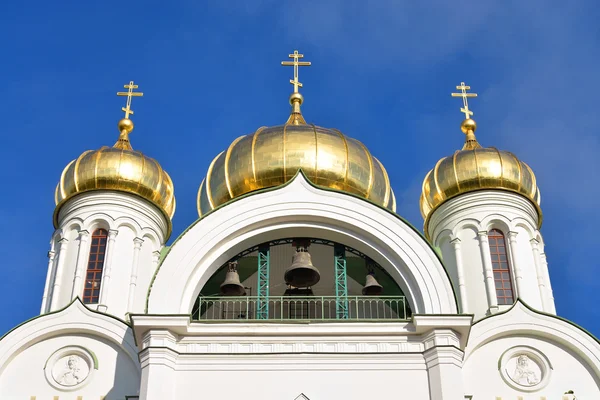 Cathedral St. Catherine. — Stok fotoğraf