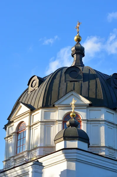 Templom a Szent Alekszander Nyevszkij az Ust-Izhora. — Stock Fotó