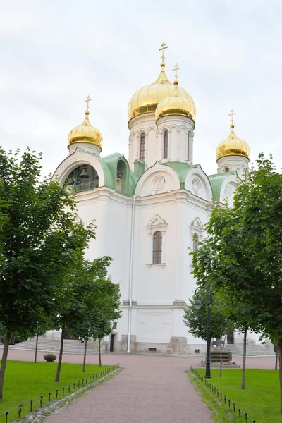 Собор Святой Екатерины . — стоковое фото