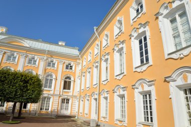Grand Peterhof Palace parçası.