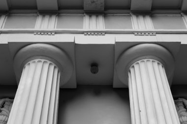 Pavilion Yelagin Adası St. Petersburg'sütunları.