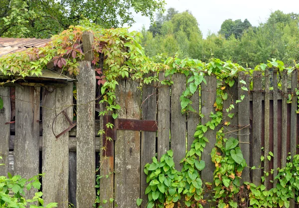 Gammalt trästaket. — Stockfoto