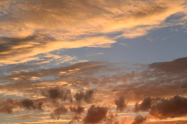 Cloud sky at sunset. — Stock Photo, Image