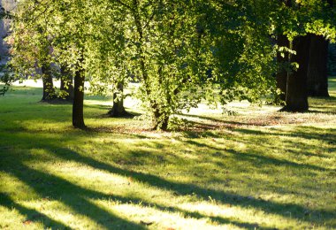 Gündüzleri yaz park.