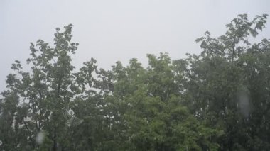 Dolu dolu yağan yağmurun bir yaz günü videosu.