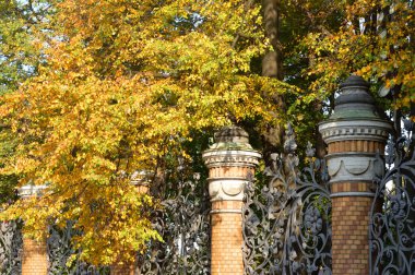 Mikhailovsky bahçesinin bir parçası..