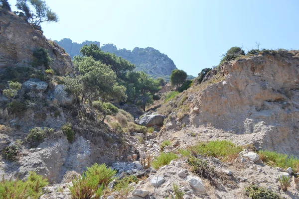 夏の風景、ギリシャ語. — ストック写真