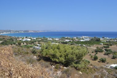 Bay kefalos kos Adası'nın