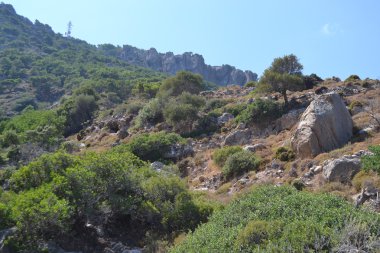 Yaz peyzaj, Yunanistan.