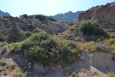 Yaz peyzaj, Yunanistan.