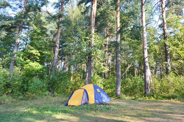 Camping tent in bos — Stockfoto