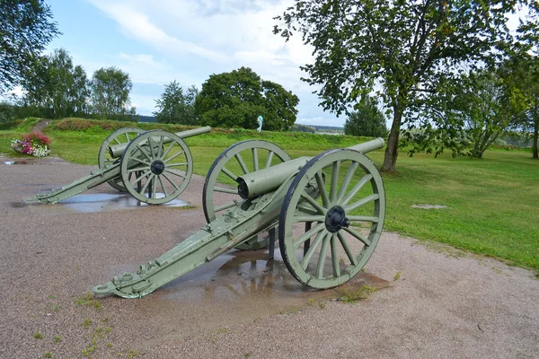 Cannone antico a Lappeenranta — Foto Stock