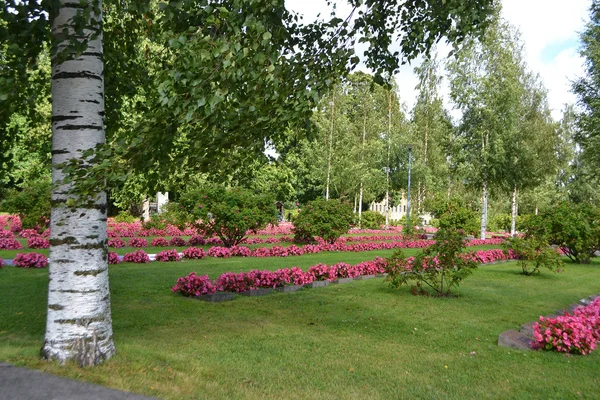 Lappeenranta meydanda