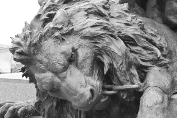 Estatua de león de bronce . —  Fotos de Stock