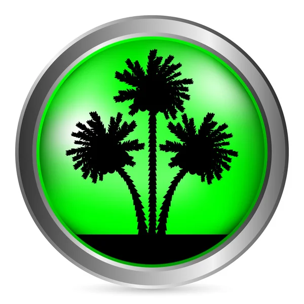 Palm gomb — Stock Vector