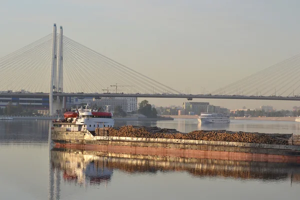Cargo ship and cable-braced bridge — Stock Photo, Image