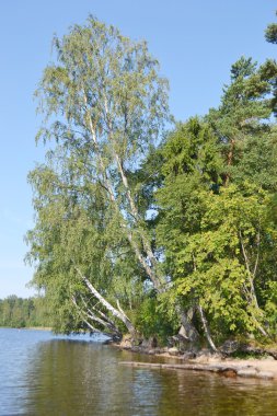 Orman Gölü kenarında