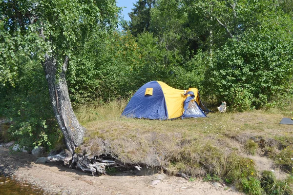 Camping Tenda nella foresta — Foto Stock