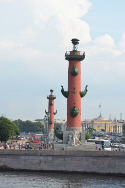 Ok Vasilevski adasının görünümü.