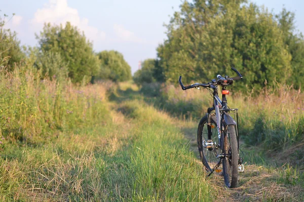 Велосипед на сельской дороге — стоковое фото