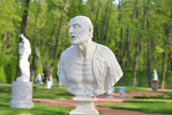 Statue of ancient Roman philosopher Seneca — Stock Photo, Image