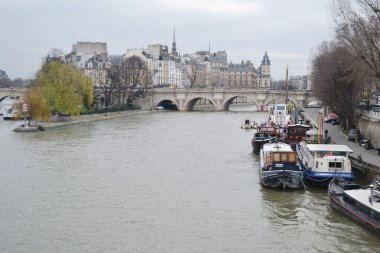 Paris'te Seine Nehri'nin görünümü.