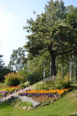 zelenogorsk Parkı.