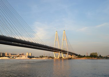 kablo braced Bridge'de st.petersburg.
