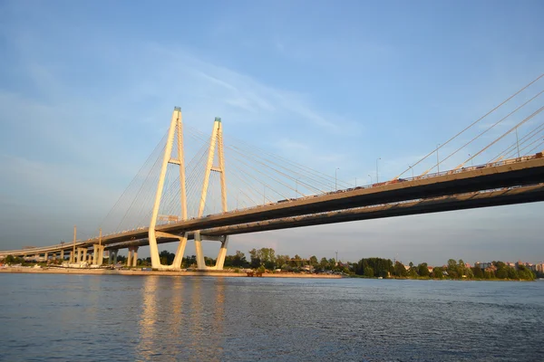 Kabel-stagade bridge i Sankt Petersburg. — Stockfoto