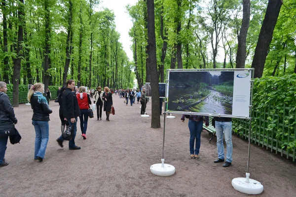 サンクトペテルブルグの公園の夏の庭. — ストック写真