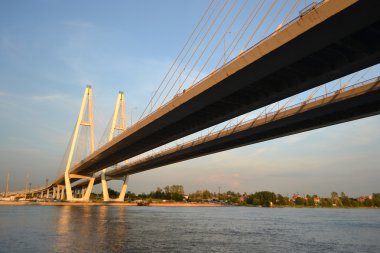 kablo braced Bridge'de st.petersburg.