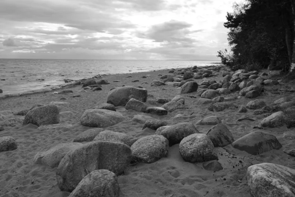 Ostsee-Küste. — Stockfoto