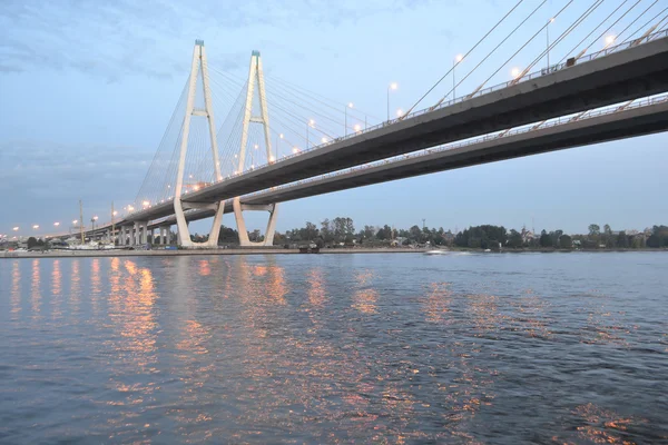 Kabel stannade bridge på kvällen. — Stockfoto