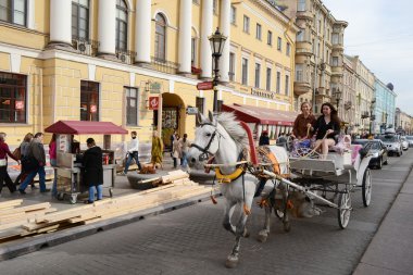 griboyedov kanal dolgu. 